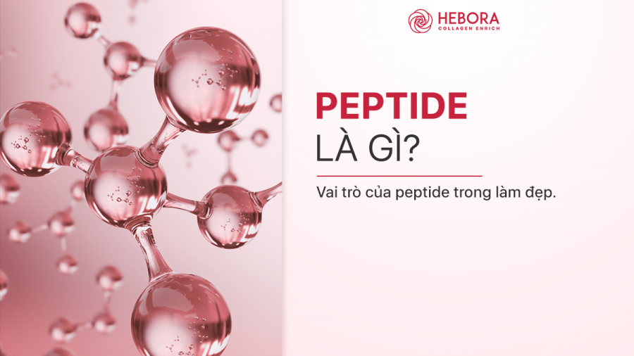 Serum Peptide là một tinh chất dưỡng da tự nhiên giúp trẻ hóa làn da cực kỳ hiệu quả